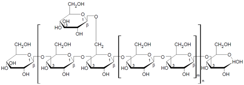 Structure chimique de l'unité répétitive de krestine (PSK), le polysaccharide-protéine bioactif extrait de Trametes versicolor.